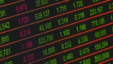 key sectors for investment