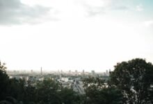 digital growth strategy implementation