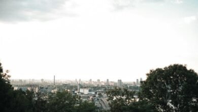 digital growth strategy implementation