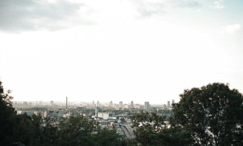 digital growth strategy implementation