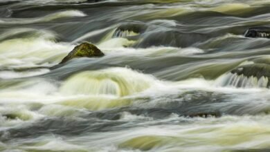 market momentum analysis report