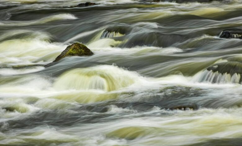 market momentum analysis report