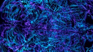 stellar neural pulse technology